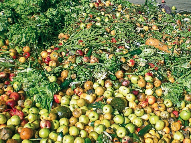 El Tribunal de Cuentas Europeo reconoce el despilfarro de alimentos como un problema para la cadena de suministro alimentario.