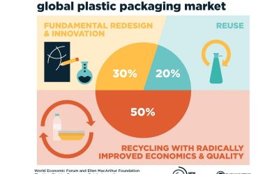 Plan de Acción para una Nueva Economía de los Plásticos